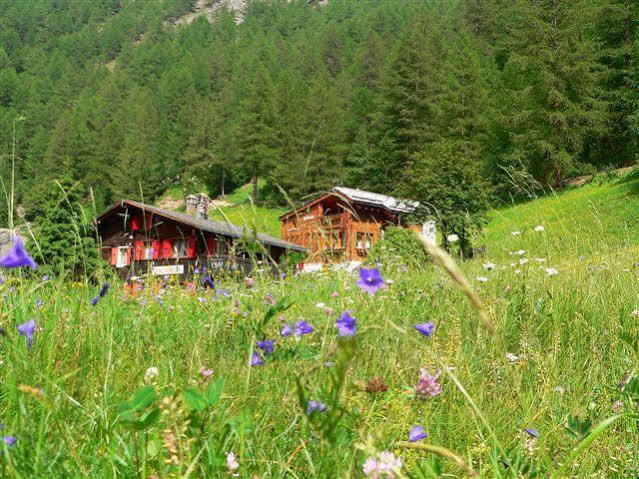 Haus Alpenperle Apartamento Saas-Almagell Exterior foto